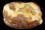 Polished Banded Agate Nodule Section - Kerrouchen, Morocco #181402-2
